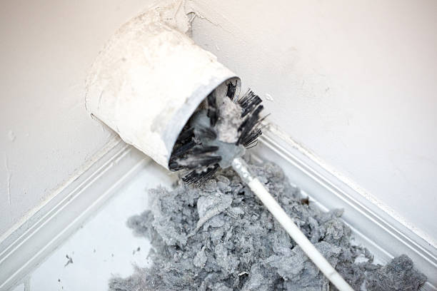 Best Local Air Duct Cleaning Services  in Fort Denaud, FL